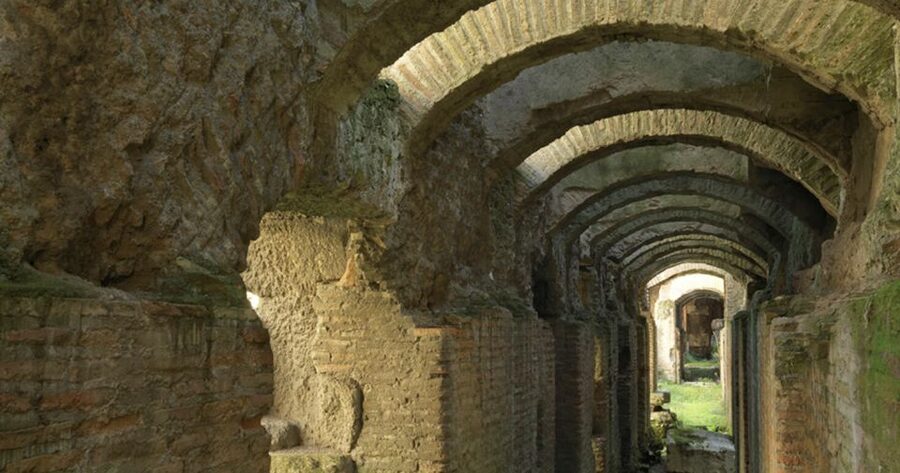 Rome: Ancient History and Colosseum Underground Tour - Skip-the-line entry and the first look inside