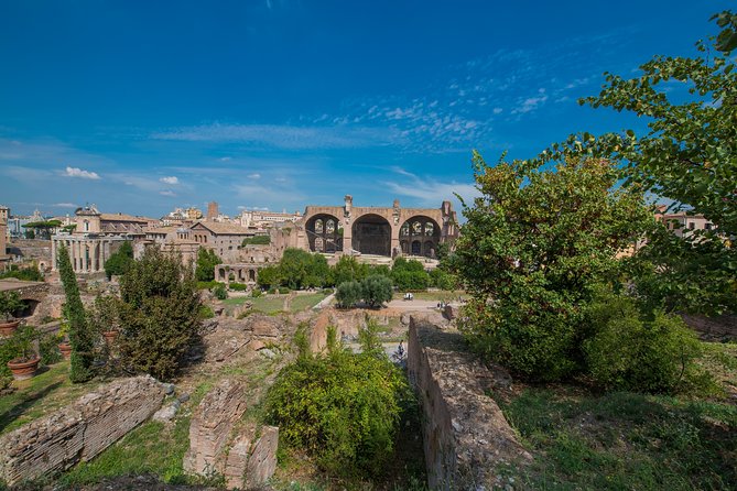 Rome: Colosseum Arena, Roman Forum & Palatine Hill Tour - Walking Through the Roman Forum