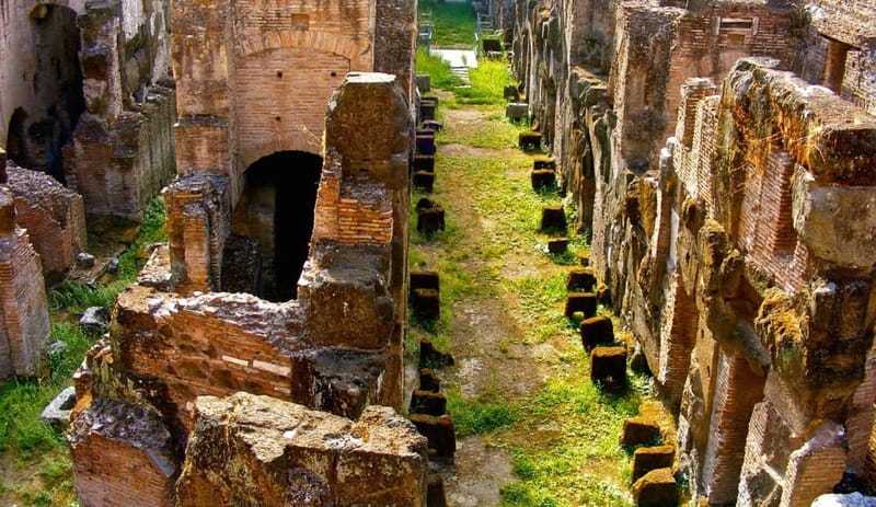 Rome: Colosseum Gladiator's Arena and Roman Forum Tour - Palatine Hill: Rome’s hilltop story