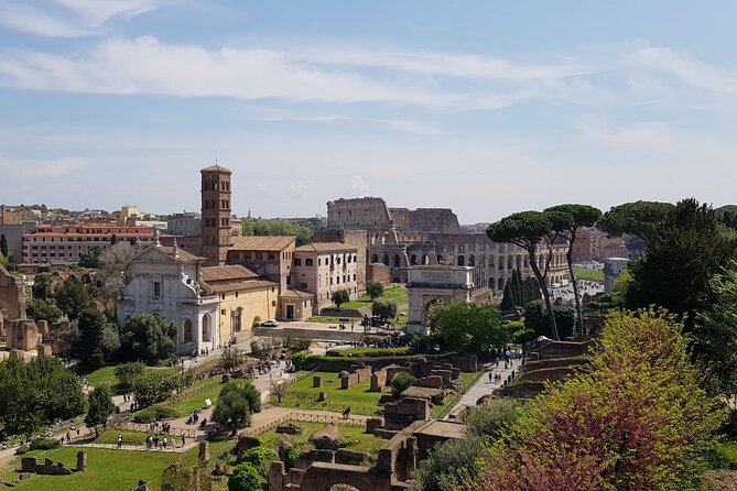 Rome: Colosseum, Palatine Hill and Roman Forum Guided Tour - The central Forum and the machinery of Rome