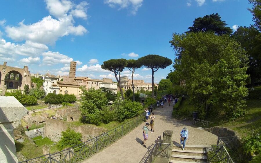 Rome: Colosseum, Roman Forum, and Palatine Hill Tour - Is $105 a fair price?