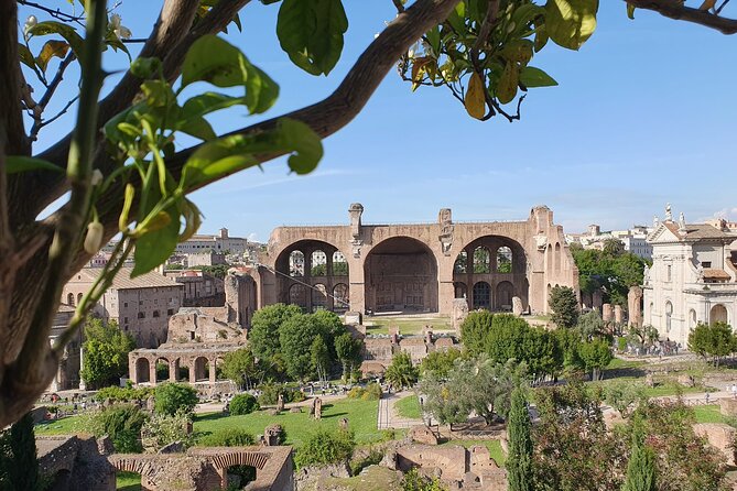 Rome: Colosseum, Roman Forum & Palatine Hill Experience - Underground access: the more specialized choice