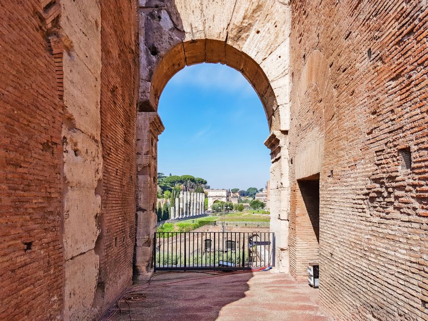 Rome: Colosseum, Roman Forum & Palatine Hill Tour - Who will get the most from this visit?