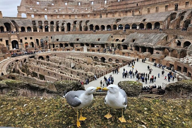 Rome: Colosseum, Roman Forum & Palatine Hill Visit + Audio Guide - Palatine Hill and its Roman views