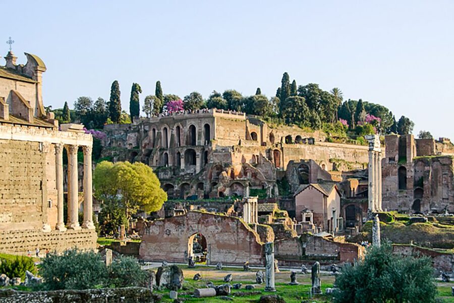 Rome: Guided Tour of Colosseum, Roman Forum & Palatine Hill - Entering the Colosseum for one hour