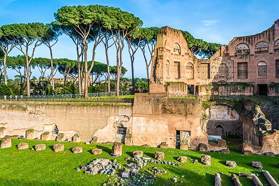 Rome: Guided Tour of Colosseum, Roman Forum & Palatine Hill - Who should book it