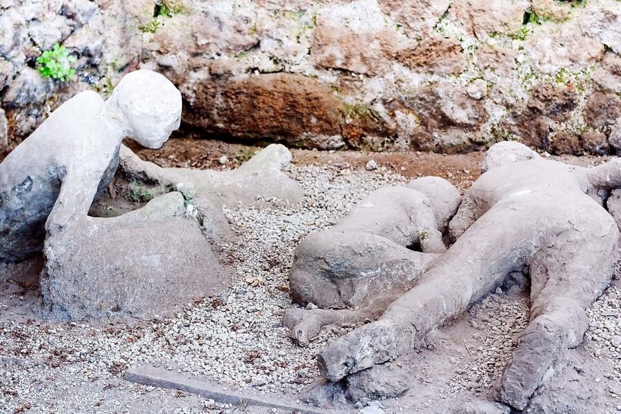 Rome: Pompeii and Naples Day Trip with Pompeii Entry Ticket - Who should book this trip