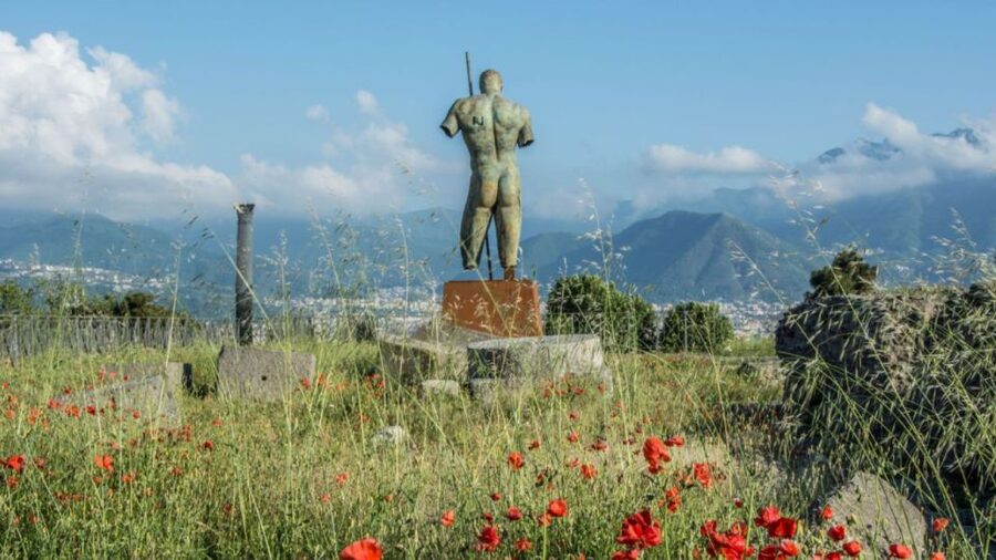 Rome: Pompeii Tour with Wine and Lunch by High Speed Train - Five details that shape the day