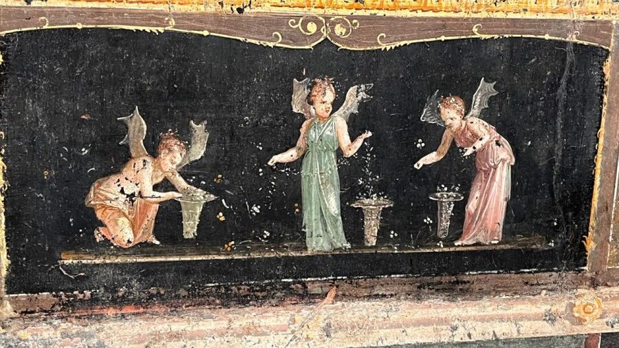 Rome: Pompeii Tour with Wine and Lunch by High Speed Train - Who will enjoy this Pompeii day trip most?