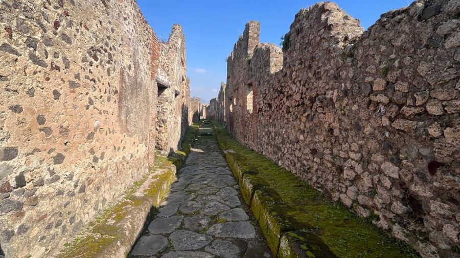 Rome: Pompeii Tour with Wine and Lunch by High Speed Train - Small tips that make a big difference