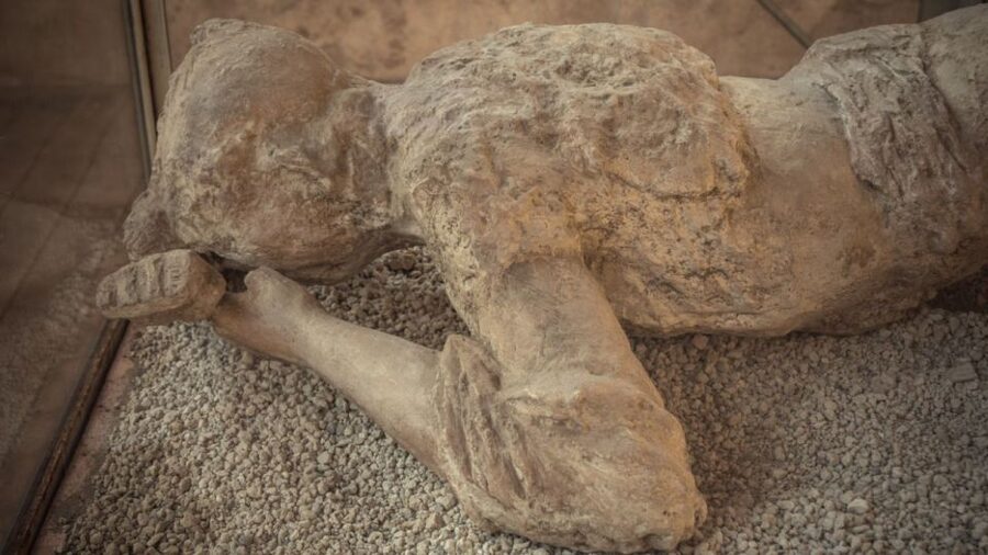 Rome: Pompeii Tour with Wine and Lunch by High Speed Train - Pompeii in 2.5 hours: what you actually see