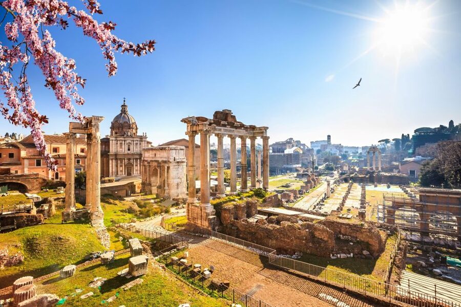 Rome: Roman Forum and Palatine Hill Licensed Guided Tour - Who should book this experience?