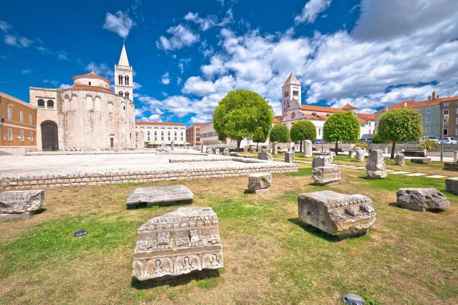 Rome: Roman Forum and Palatine Hill Licensed Guided Tour - Heat, shade, water, and weather