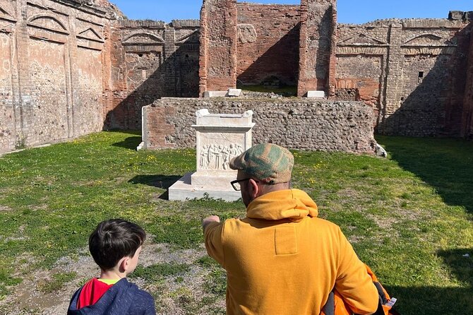 Rome to Pompeii Guided Tour with Wine & Lunch by High Speed Train - Wine on the slopes of Vesuvius