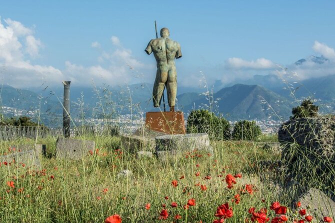Rome to Pompeii Guided Tour with Wine & Lunch by High Speed Train - How the group size affects the day