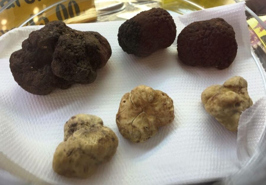 Rome: Trastevere Guided Food and Wine Tour with 20+ Tastings - Stop one: trapizzino at Piazza Trilussa