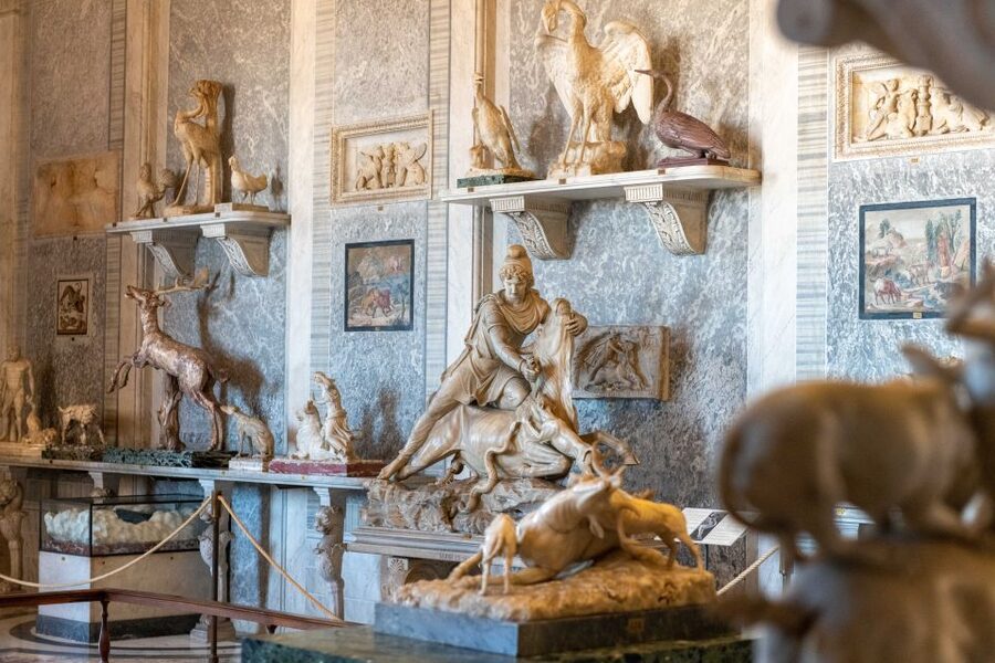 Rome: Vatican Museums, Sistine Chapel, and Basilica Tour - What the guides add to the experience