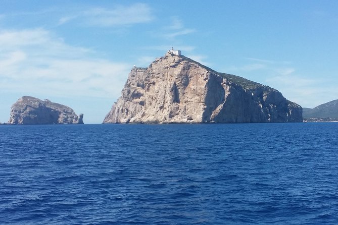 Sailing day trip on Tall Ship Andrea Jensen with Lunch and Wine - Why This Boat Trip Feels Different