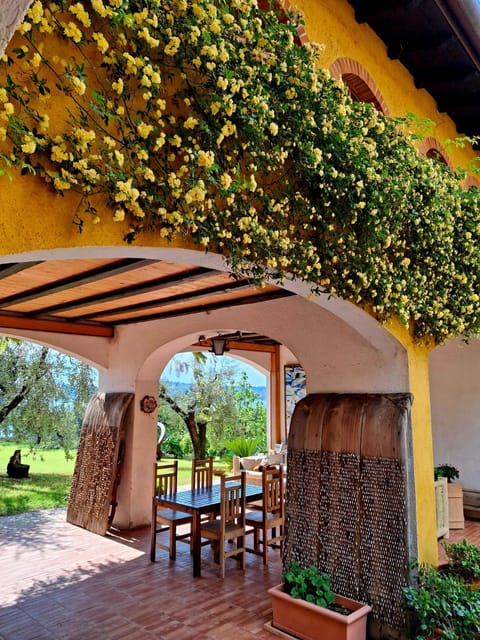 San Felice: Olive Oil Tasting with local food on Garda Hills - Key points to know before booking