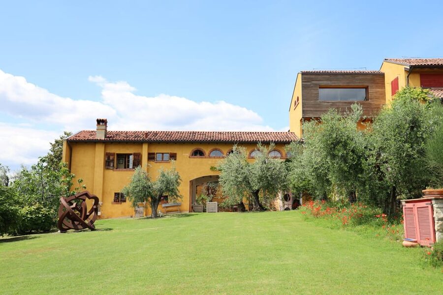 San Felice: Olive Oil Tasting with local food on Garda Hills - The olive grove and views toward Rocca di Manerba