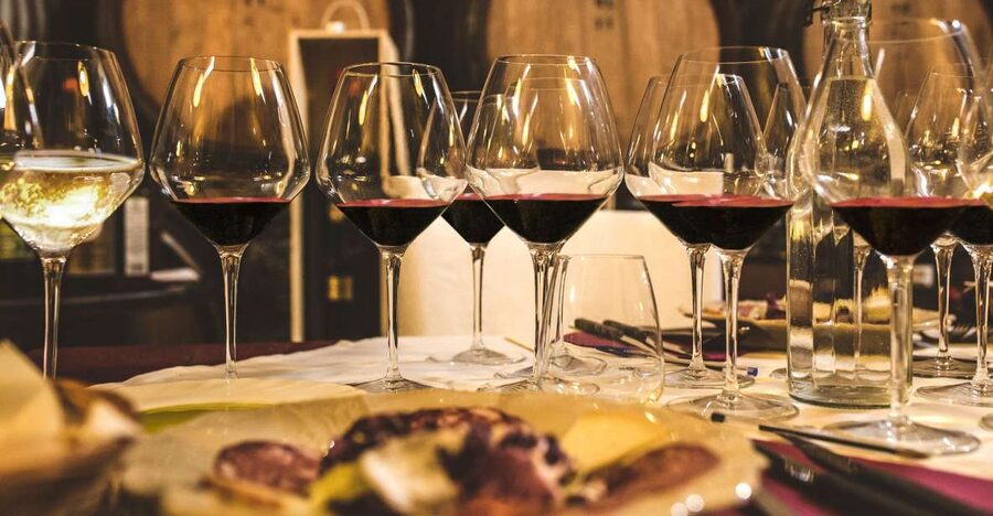 San Gimignano: Lunch or Dinner at a Winery with Wine Tasting - Who will enjoy Tenuta Torciano most?