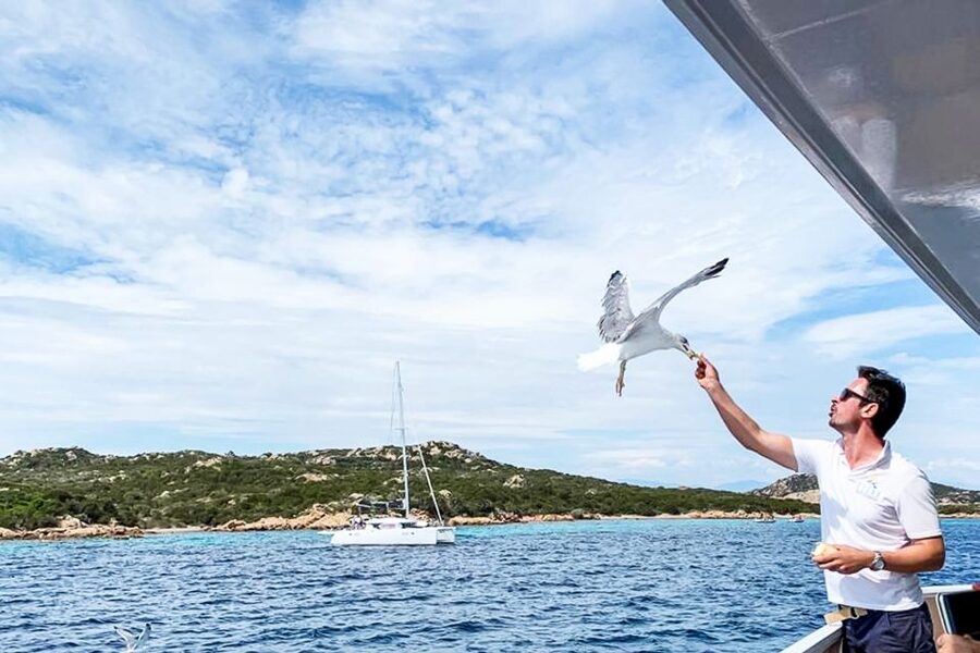 Sardinia: La Maddalena Archipelago Full-Day Trip by Boat - Guides, explanations, and the quiet option