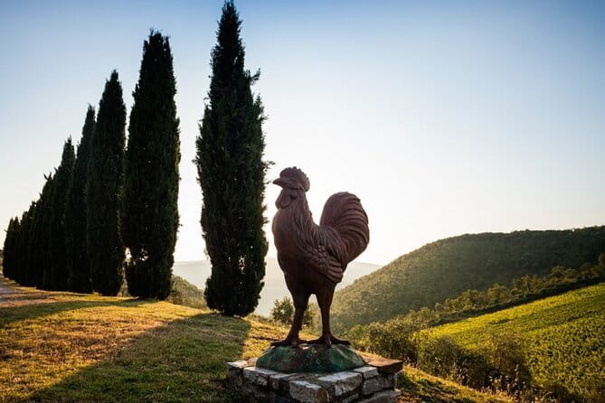 Semi Private Deep Wine Chianti and San Gimignano from Florence - Key points to know before booking