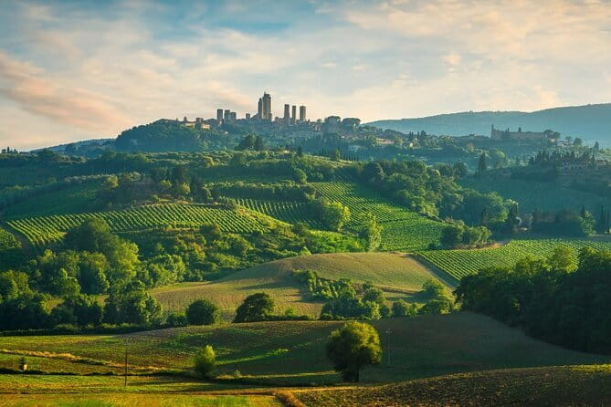 Semi Private Deep Wine Chianti and San Gimignano from Florence - San Gimignano: towers, shops, and a strategic gelato stop