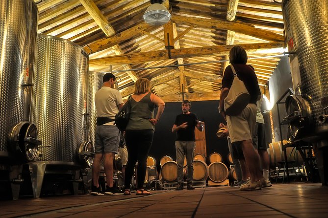 Siena: A Wine Tour and Tasting Experience - First Stop: Reading the Vineyard in 50 Minutes