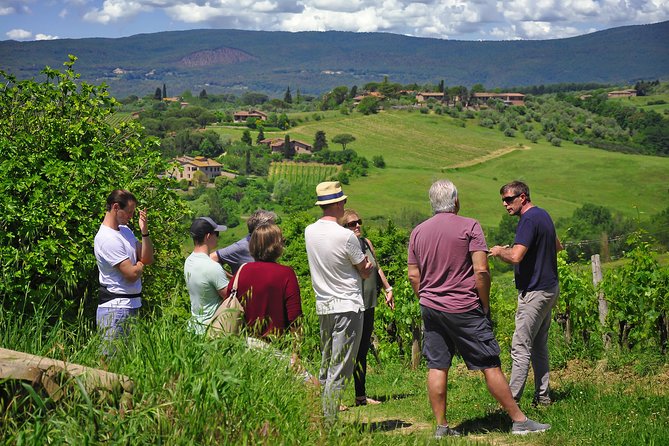 Siena: A Wine Tour and Tasting Experience - Fourth Stop: A Tuscan Lunch With Wine and Olive Oil