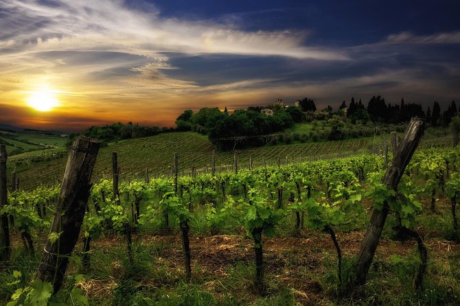 Siena: A Wine Tour and Tasting Experience - What Makes the Small Group Worth Paying For