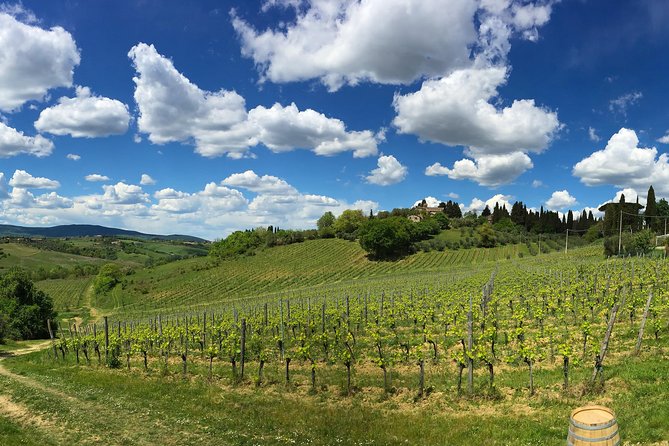 Siena: A Wine Tour and Tasting Experience - Price, Weather, and Cancellation Details