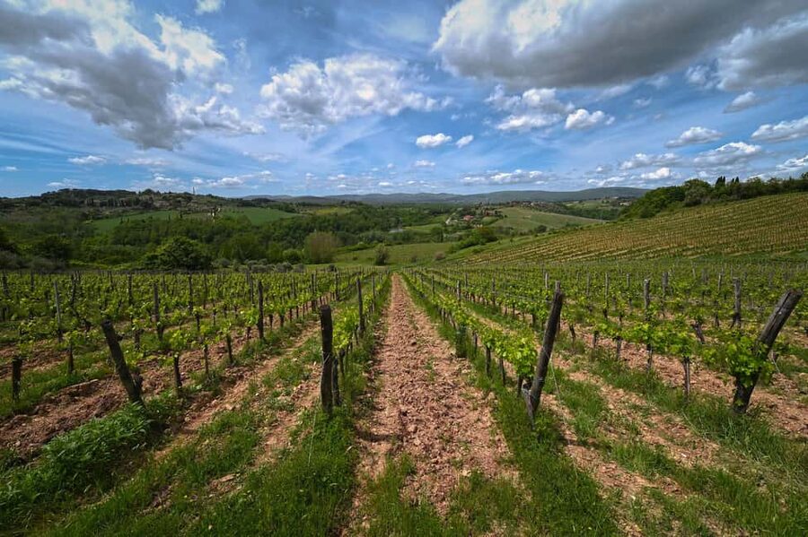 Siena: Educational Wine Tour & Tasting - Should you book La Lastra?
