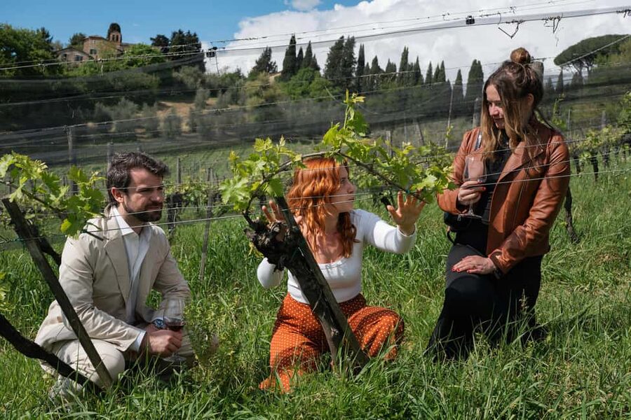 Siena: Educational Wine Tour & Tasting - Why La Lastra works for a Siena day