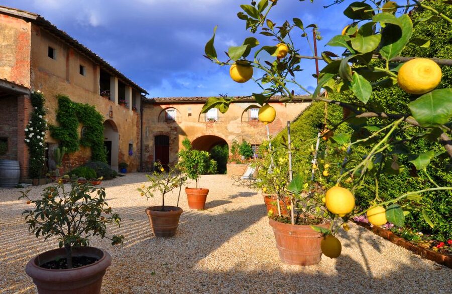 Siena: Educational Wine Tour & Tasting - Who should book this experience?