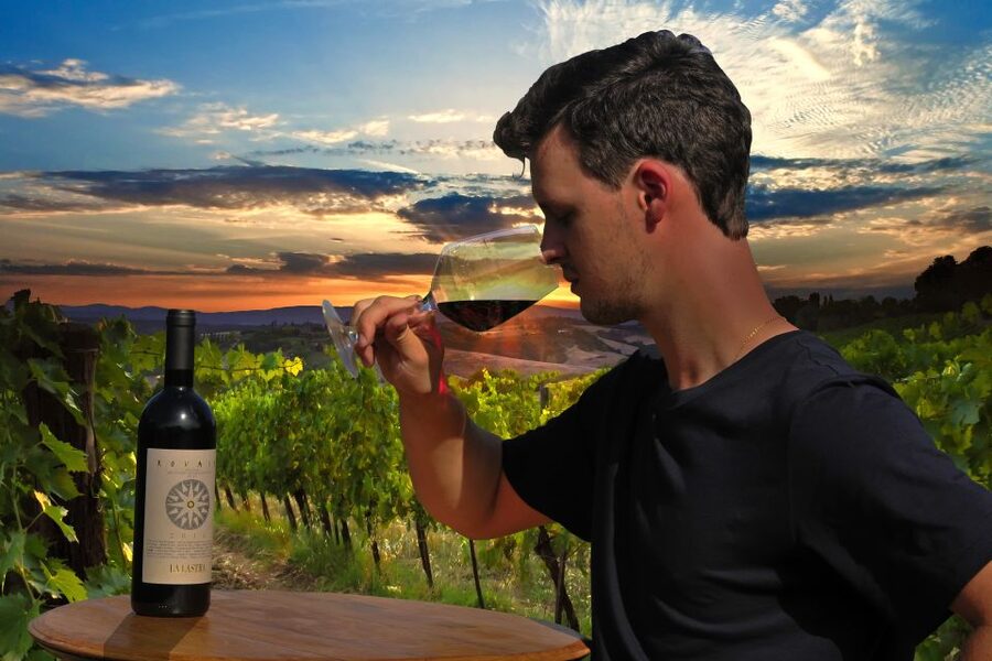 Siena: Educational Wine Tour & Tasting - Walking through the organic vineyards