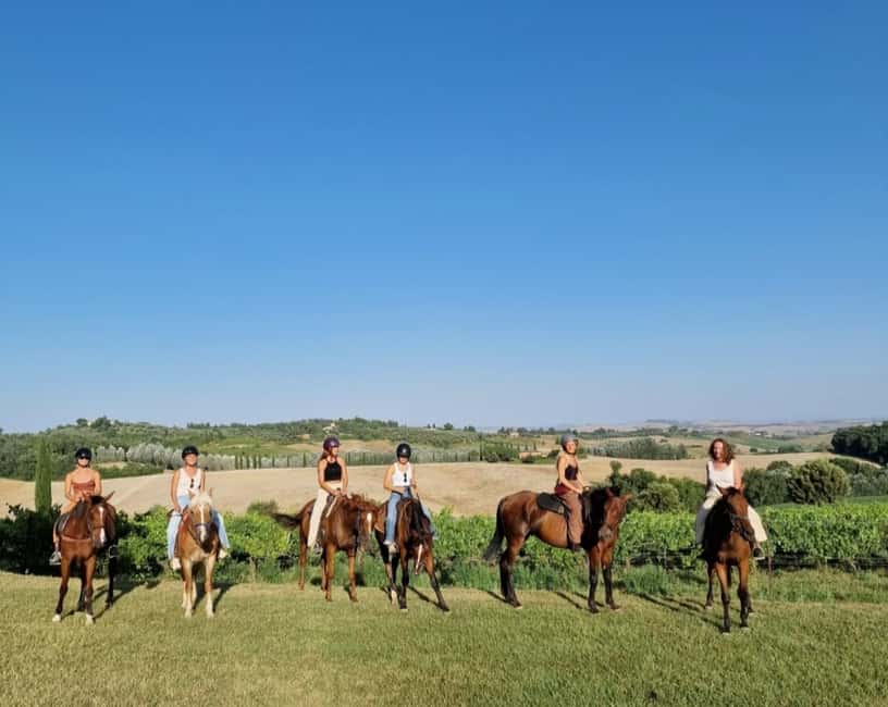 Siena: Horseback Riding Tour in the Tuscany Countryside - Riding Through Vineyards and Olive Groves