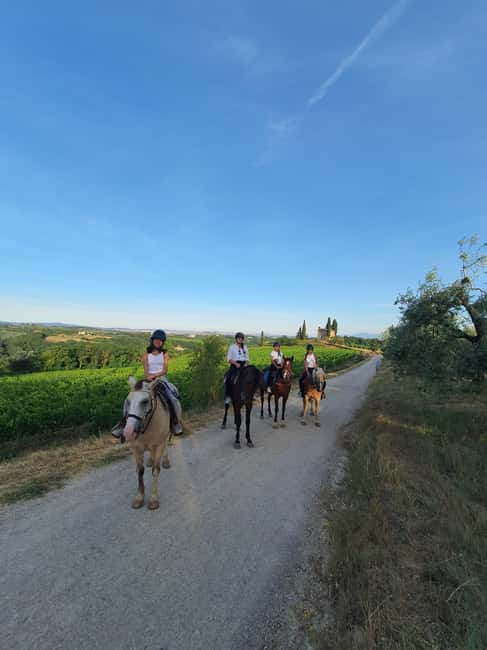 Siena: Horseback Riding Tour in the Tuscany Countryside - Optional River Picnic or Winery Visit