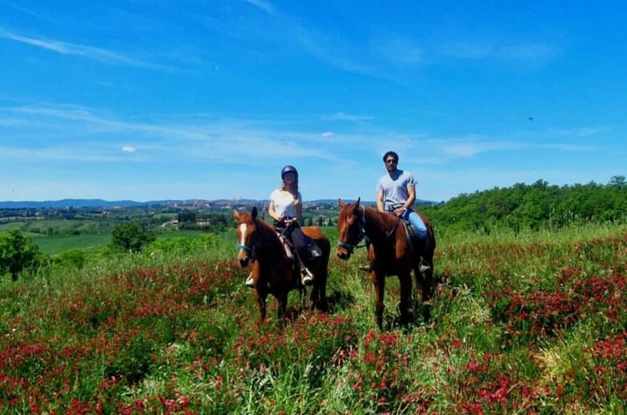Siena: Horseback Riding Tour in the Tuscany Countryside - Learning the Basics Before You Ride