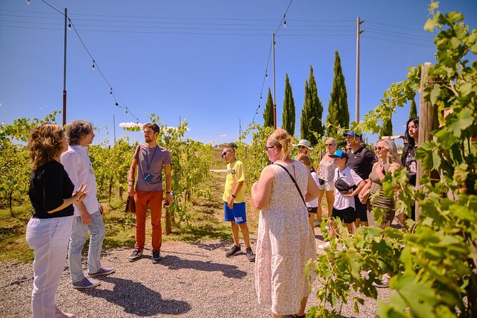 Siena, San Gimignano and Chianti Wines Day Tour from Florence - Siena and the shell-shaped Piazza del Campo