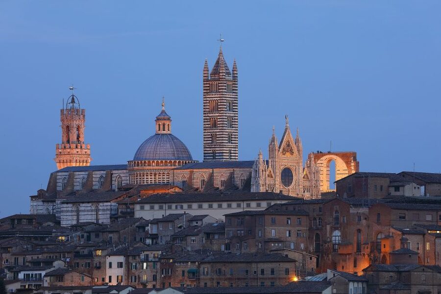 Siena: Siena Cathedral and Piccolomini Library Entry Ticket - Who should choose this experience?