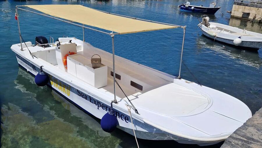 Siracusa: Ortigia & Sea Caves Speedboat Tour with Swim Stop - Ortigia’s old walls from the water
