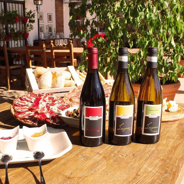 Sirmione: Vineyard Tour with Lugana Wines and Local Tastings - Practical tips for a smoother visit