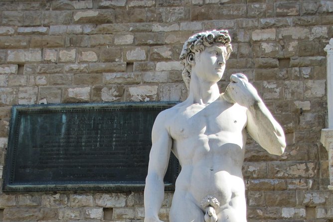 Skip the Line: Florence's Accademia Gallery Priority Entrance Ticket - Getting past the long Accademia queue