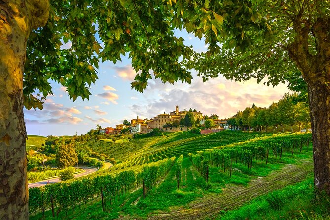 Small-Group Barolo Wine Tasting, Alba & UNESCO Piedmont Hills - Alba: medieval towers, cathedral, and Piedmontese food