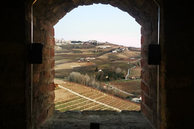 Small-Group Barolo Wine Tasting, Alba & UNESCO Piedmont Hills - Who should book this Barolo tour