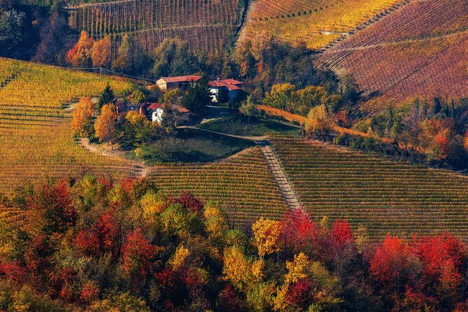 Small-Group Barolo Wine Tasting, Alba & UNESCO Piedmont Hills - Grinzane Cavour and the story behind Barolo