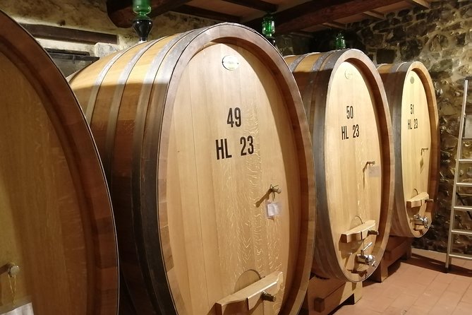 Small-Group Brunello di Montalcino Wine-Tasting Trip from Siena - Free time in Montalcino and a look from the fortress