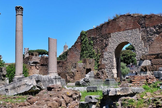 Small Group Colosseum, Roman Forum & Palatine Hill Tour - Who will get the most from this tour