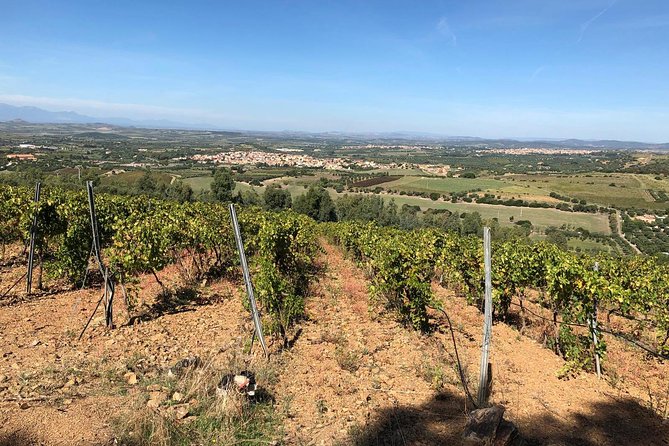 Small-Group Food and Wine Tour from Cagliari - Guides who make the outing personal